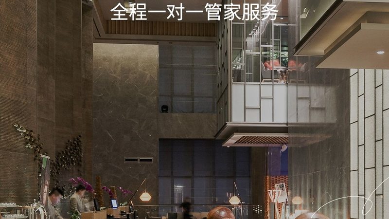 品牌对比：关注性价比、服务与口碑
