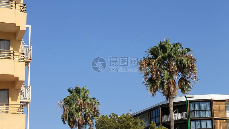 老年人跟团游，哪些药品是必备的？**